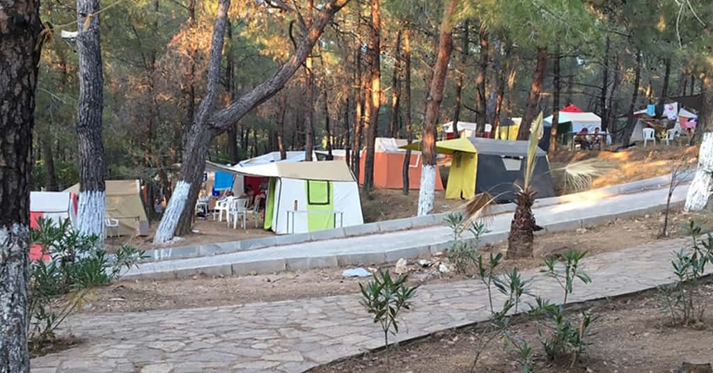İzmir Kamp Yerleri: Kalemlik Orman Kampı