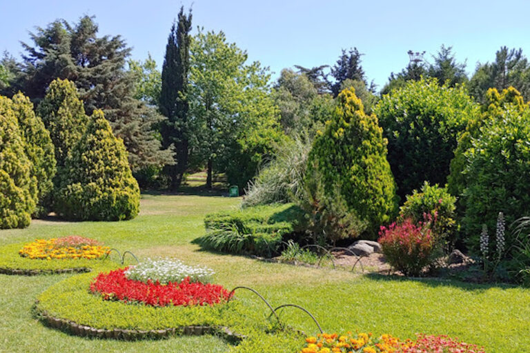 Doğanın Renk Paleti: Nezahat Gökyiğit Botanik Bahçesi Gezi Rehberi